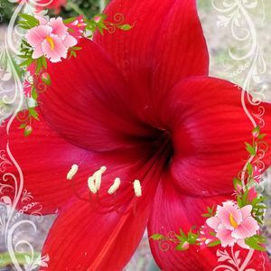 Meet your Posher, Cathy cain